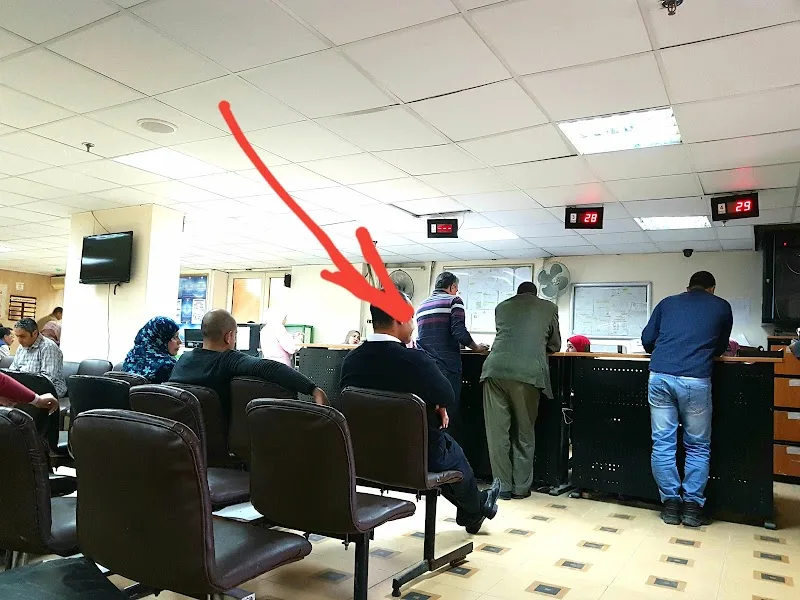 Alexandria New Medical Center (ANMC) - Photo 2
