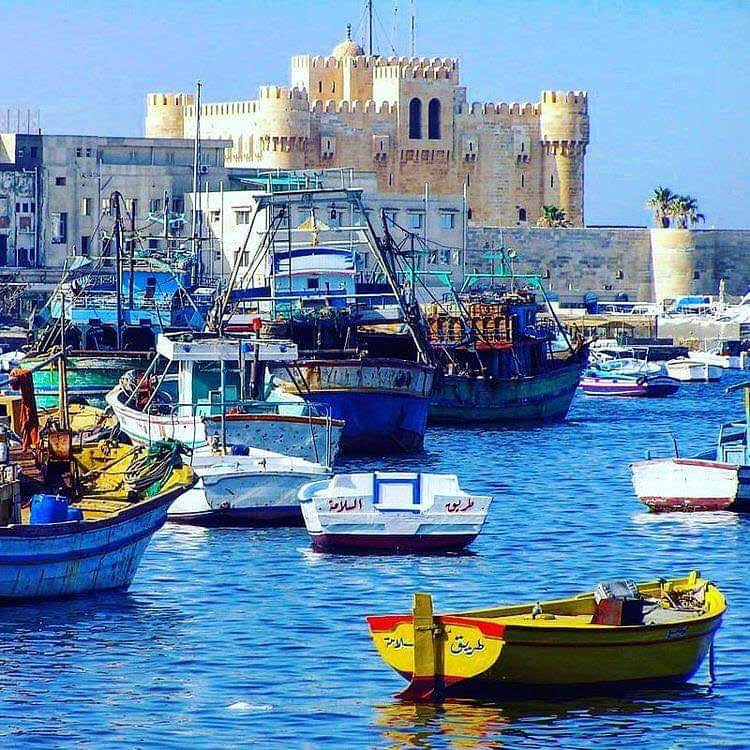 غرناطة كافيه - صورة 2