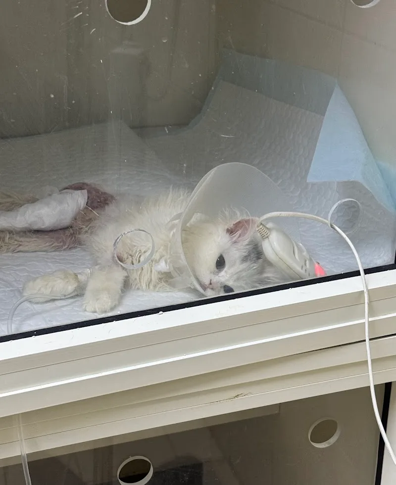 Pet Medical Clinic -petshop - Photo 1