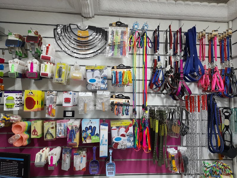 نسر البرية للحيوانات الاليفه بالمنصورة - صورة 2