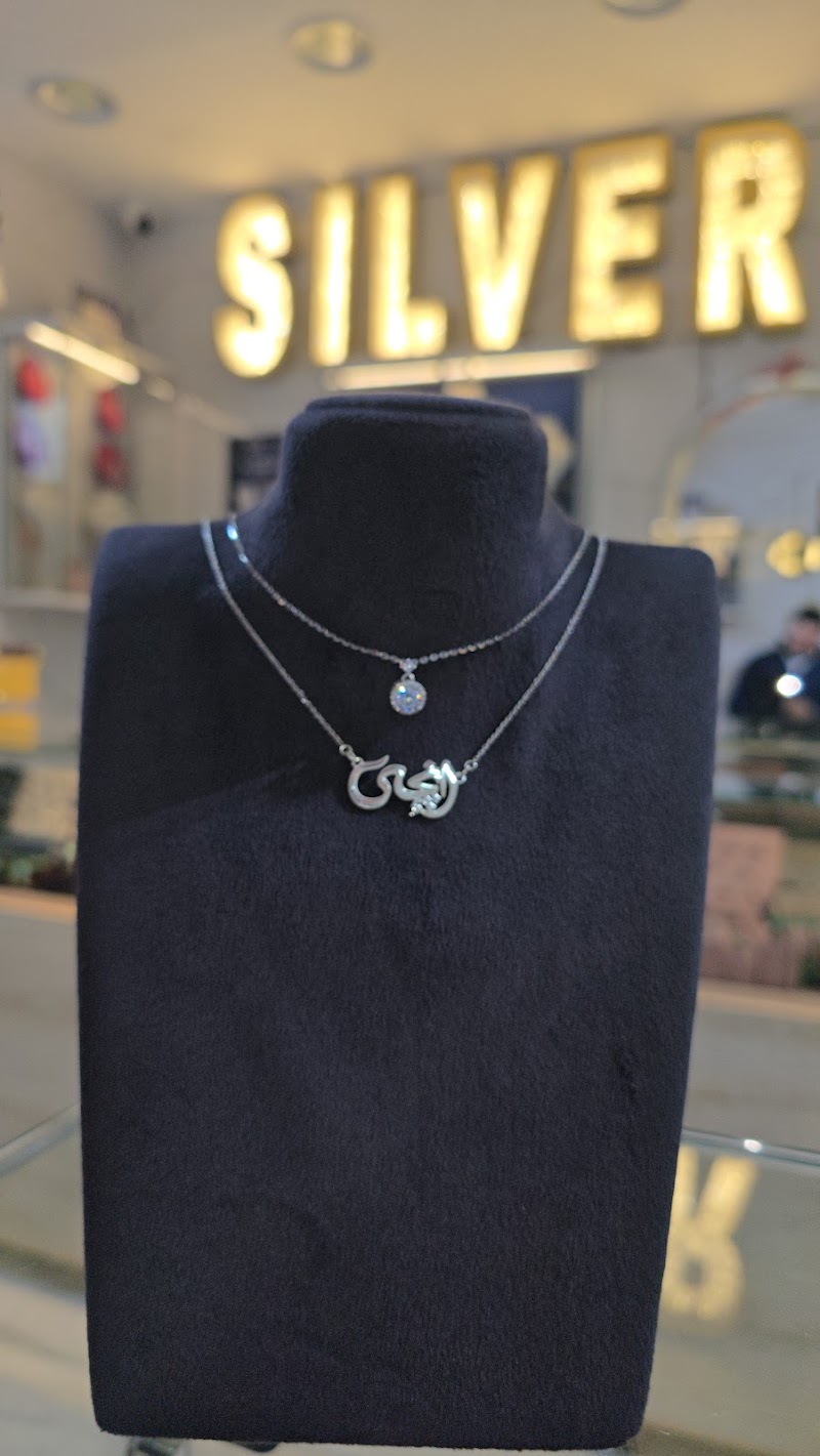 Silver land SL - صورة 1