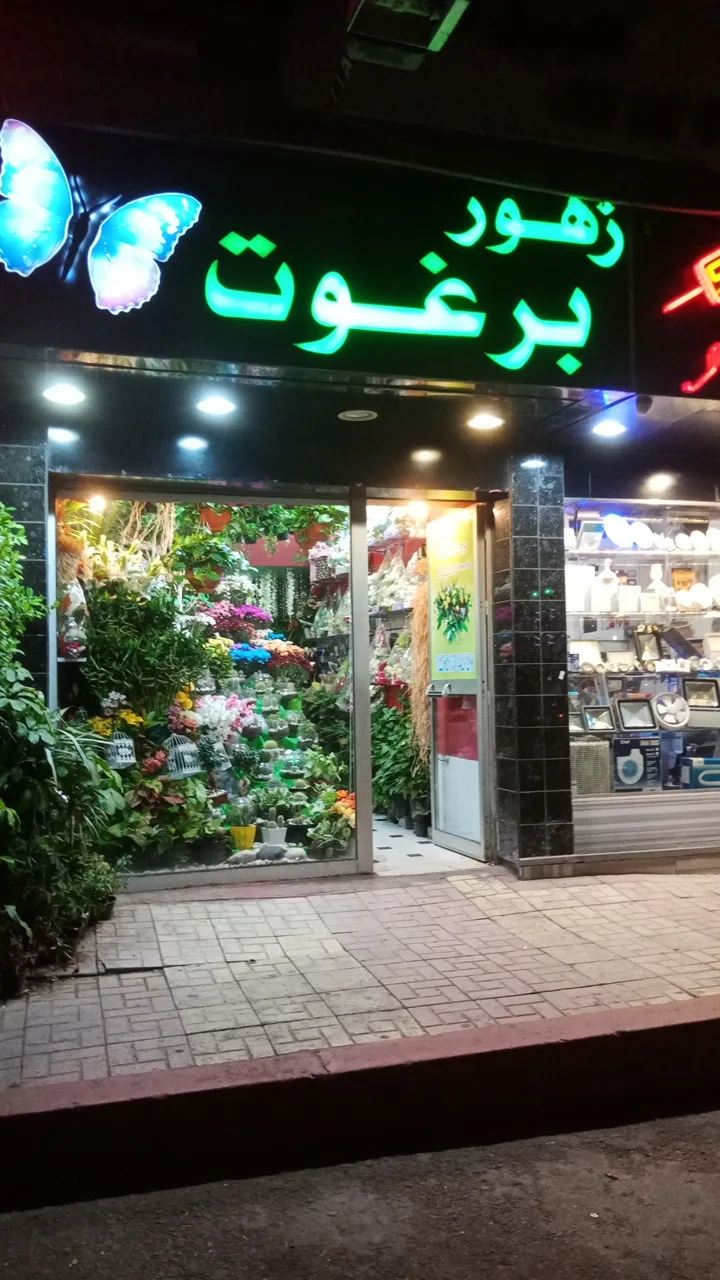 برغوت-زهور - صورة 2