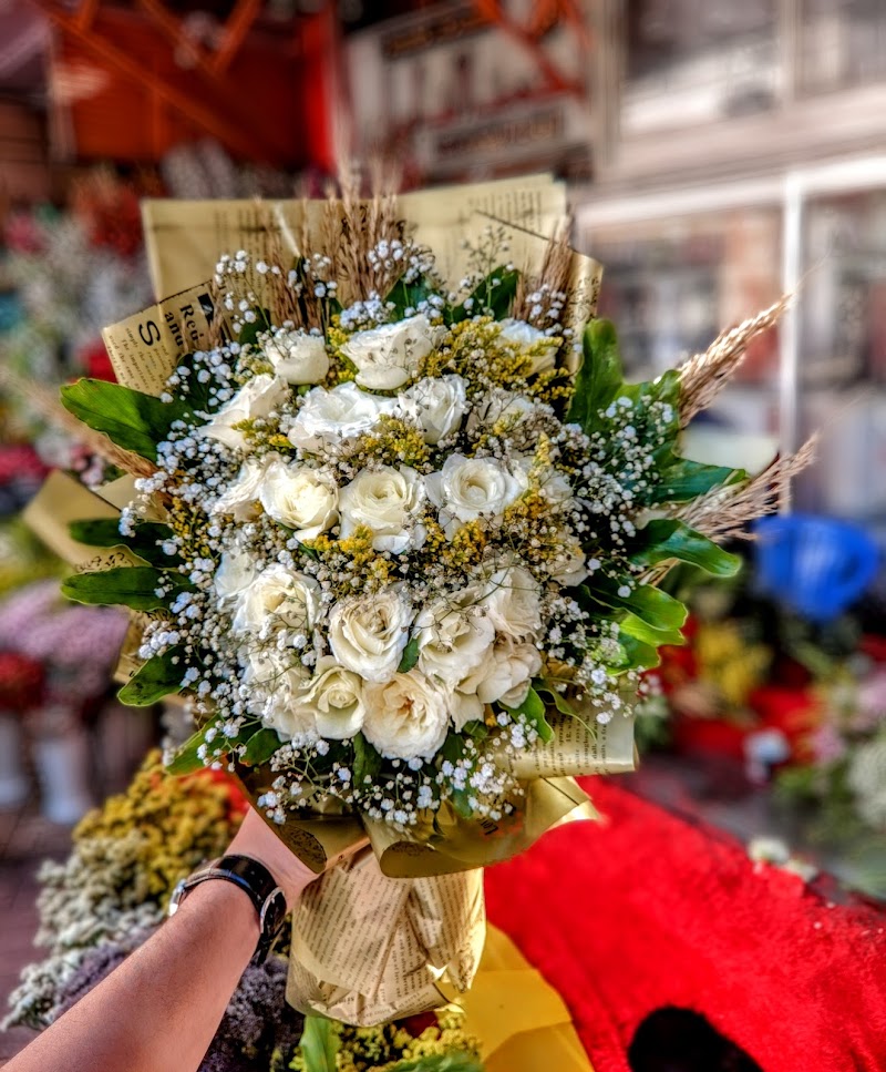 أحمد الدليل - صورة 1