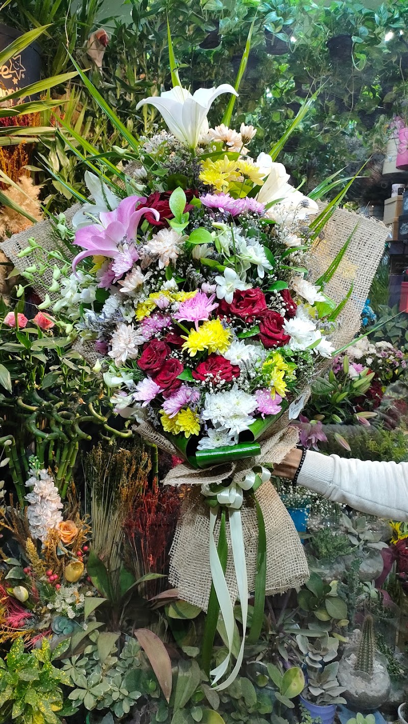 Barghout flower's - Photo 2