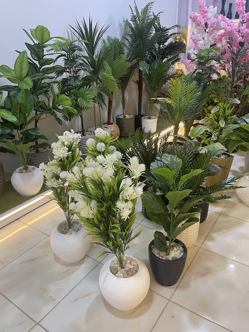 مشتل دمياط الجديده ماسه فلور