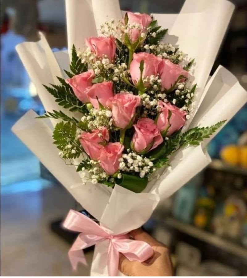 زهور تيوليب Tulips - Photo 2