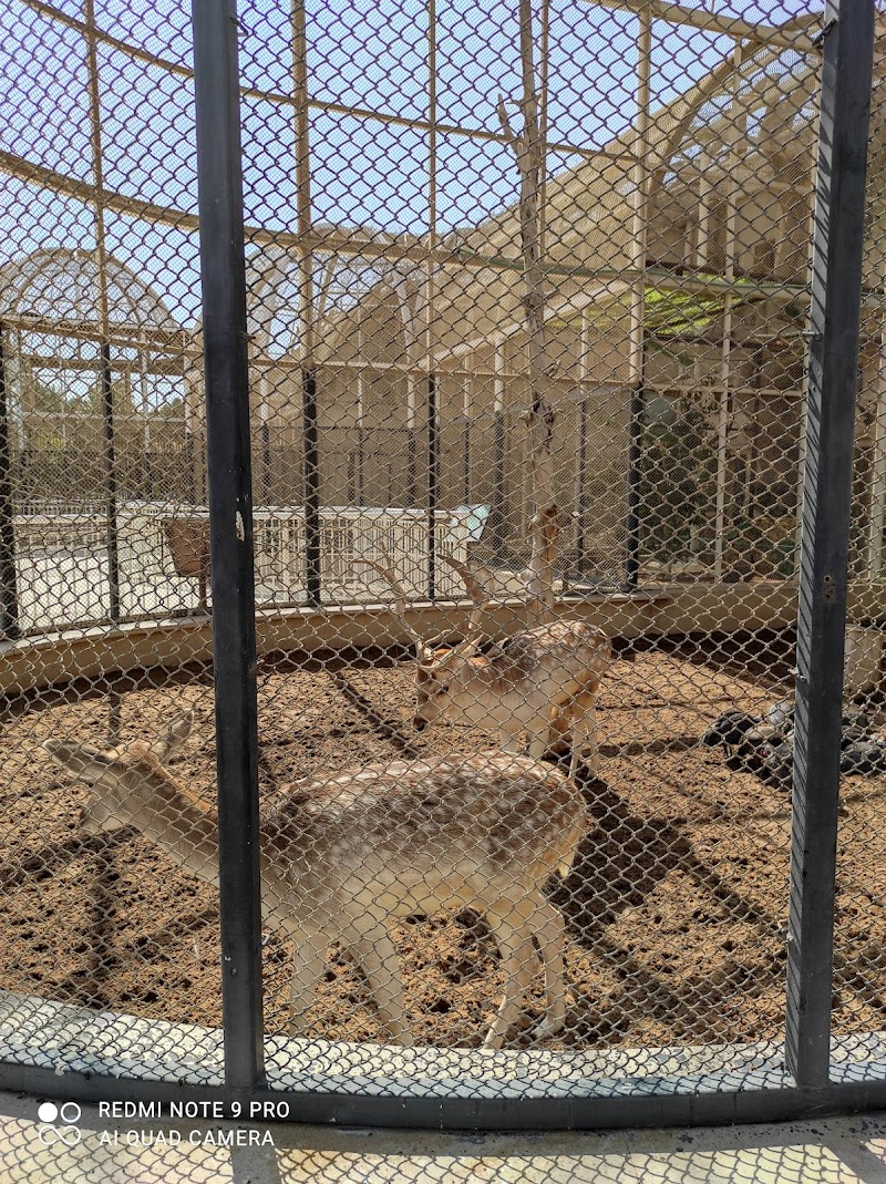 Family Park - Photo 1