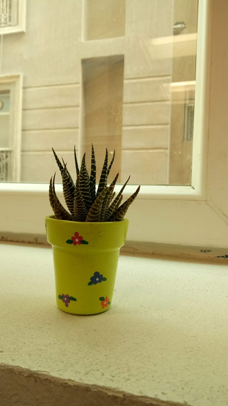 شركة آروب للتأمين - Photo 3