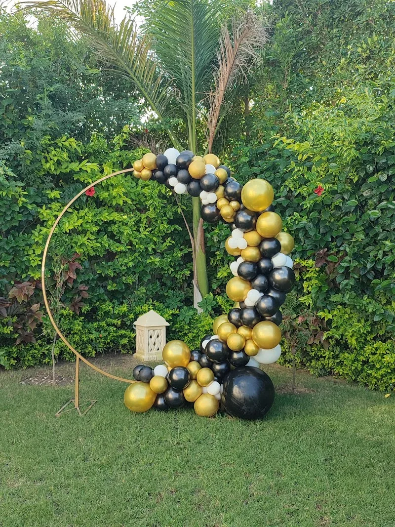 Balloon garland ( online store ) - Photo 3