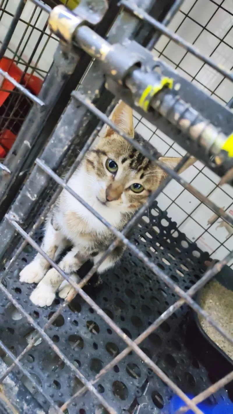 TVC, The Veterinary Center - Photo 3