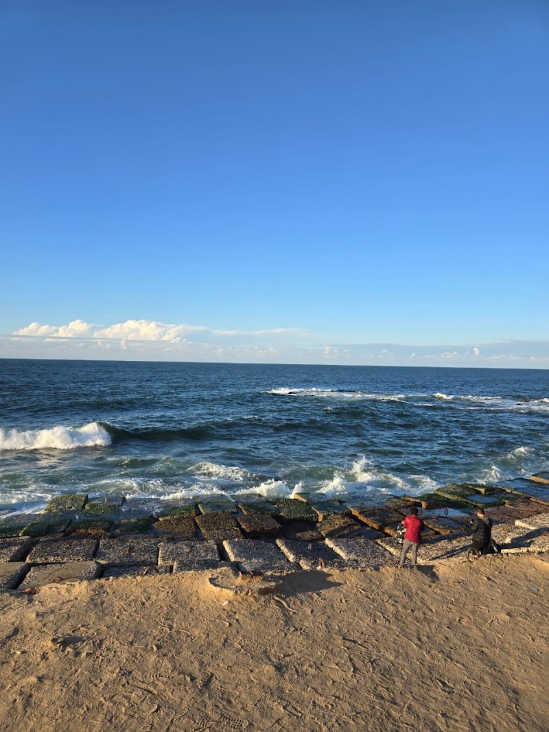 لونا بارك كافيه - صورة 1