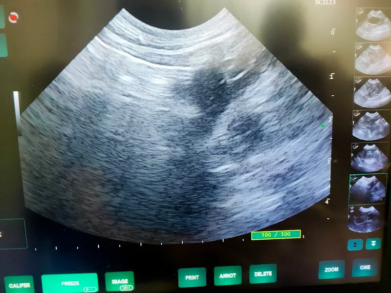 TVC, The Veterinary Center - Photo 1