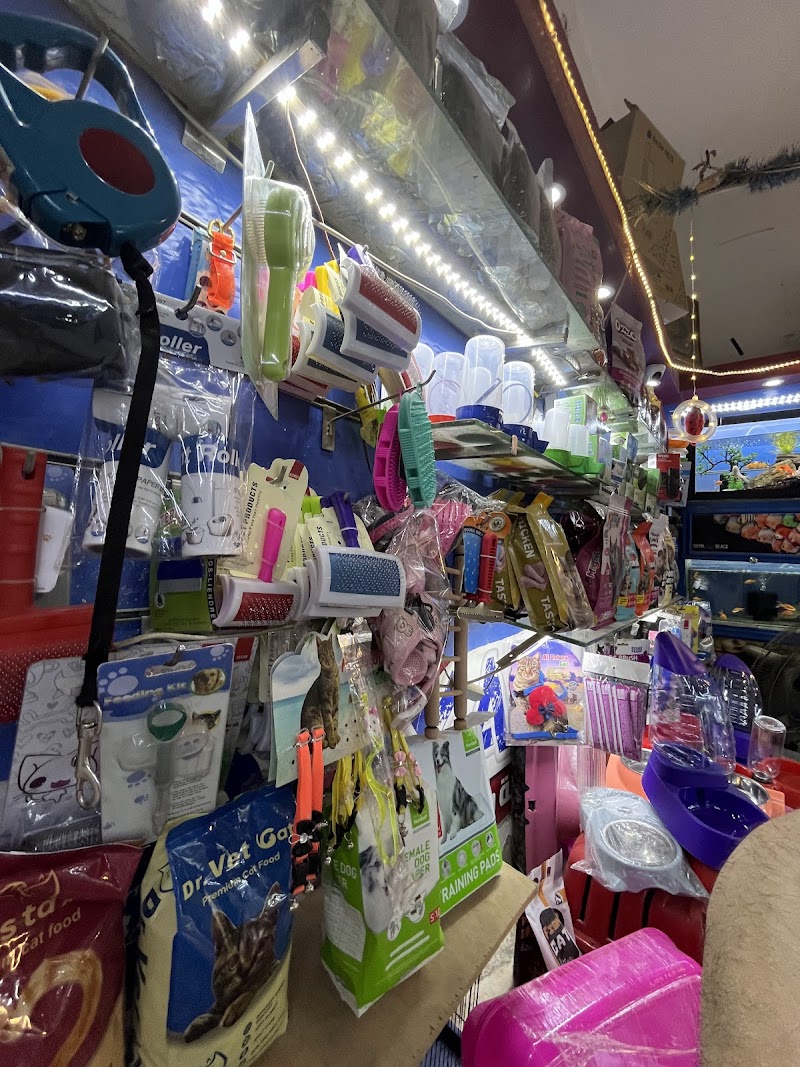 معرض ROYAL BLACK للحيوانات الأليفة وطيور الزينة وأسماك الزينة - Photo 1