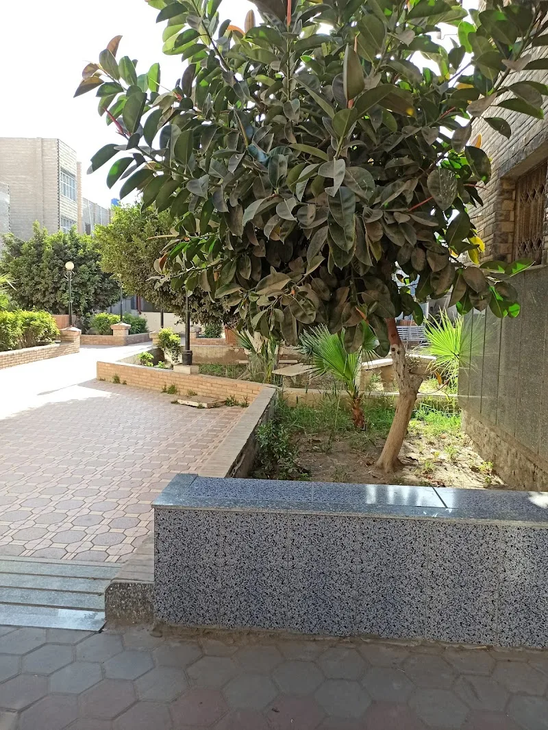 مستشفى المنزلة المركزى - صورة 1