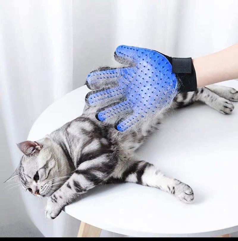 Tito pet shop - صورة 3