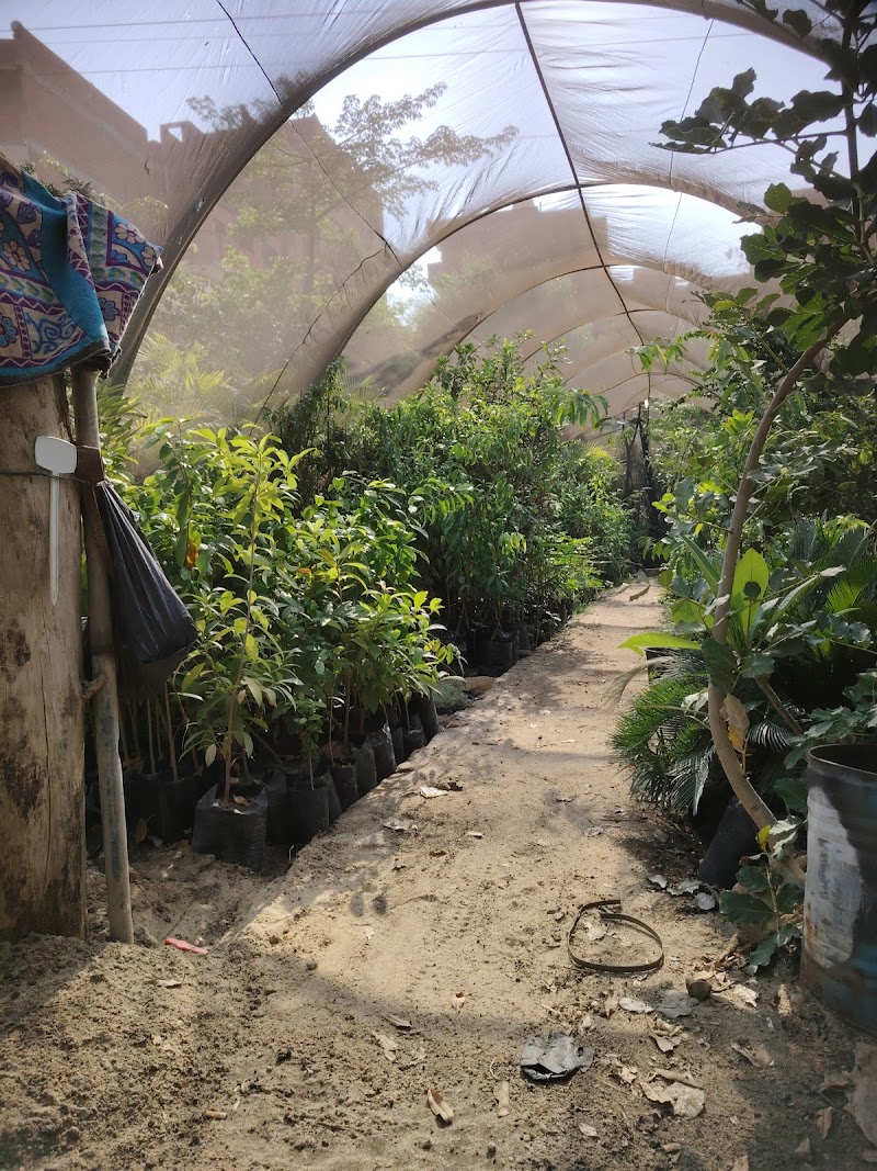 مشاتل الشرقيه