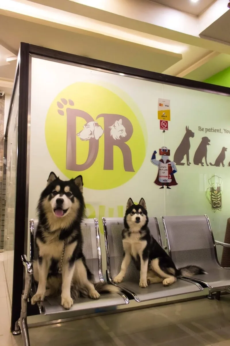 Dr Paws animal Hospital - صورة 2