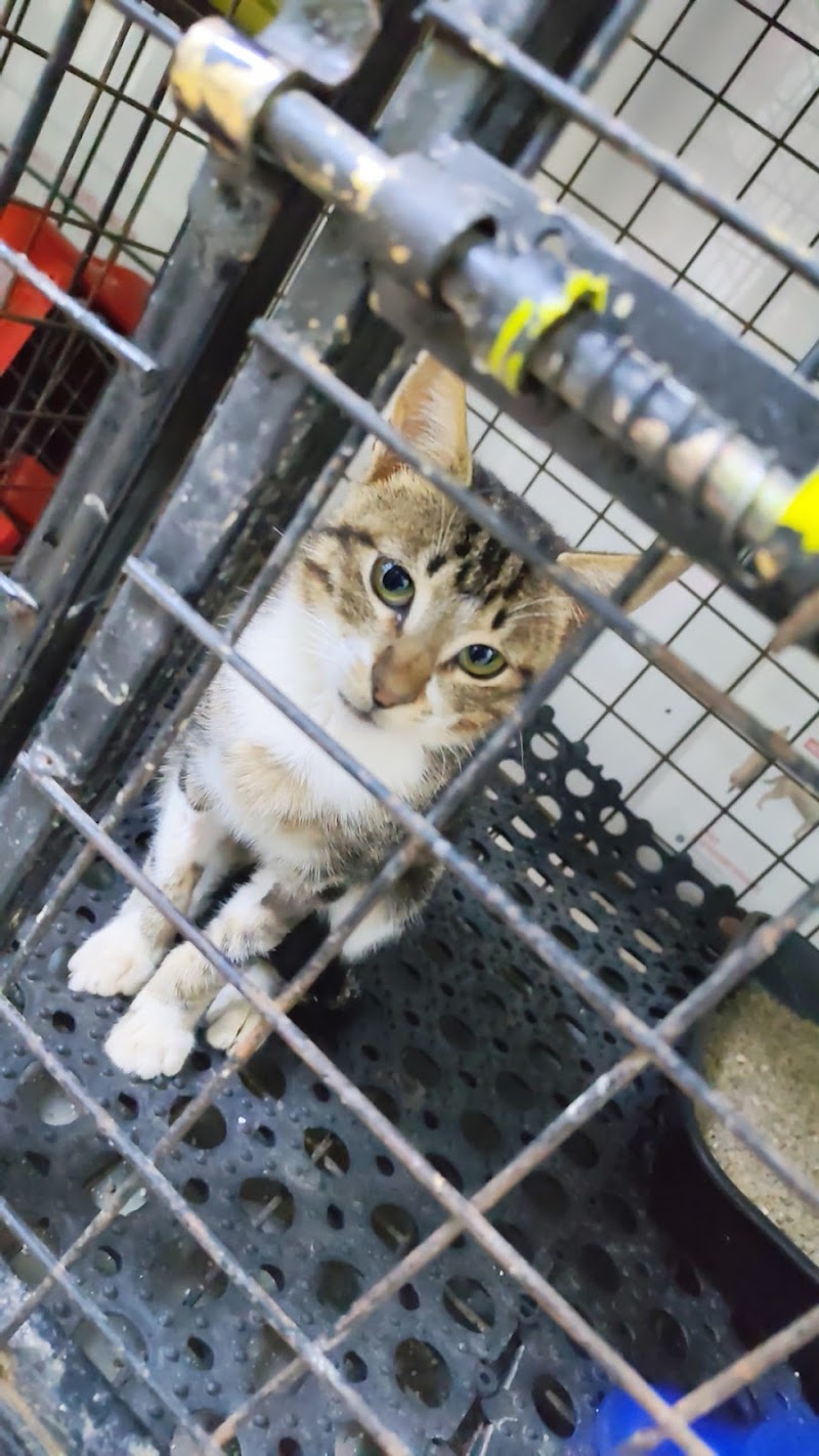 TVC, The Veterinary Center - صورة 3