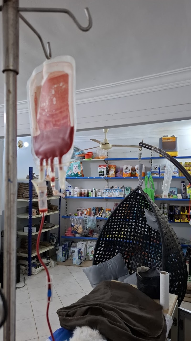 Petsy Zone Clinic Dr Eslam Gamal