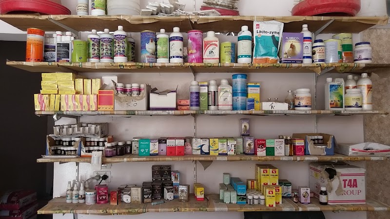 مركز الاشراف البيطري Veterinary Clinic - Photo 3