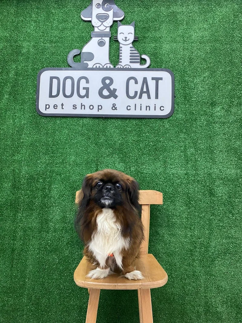 {Dog&Cat} عياده للحيوانات الاليفه وجمع مستلزمات الحيوانات