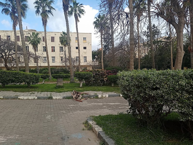 El Mowasah Educational and Medical Complex - Photo 3