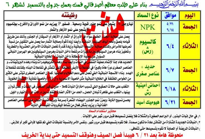 مشتل طيبة للنباتات - صورة 1