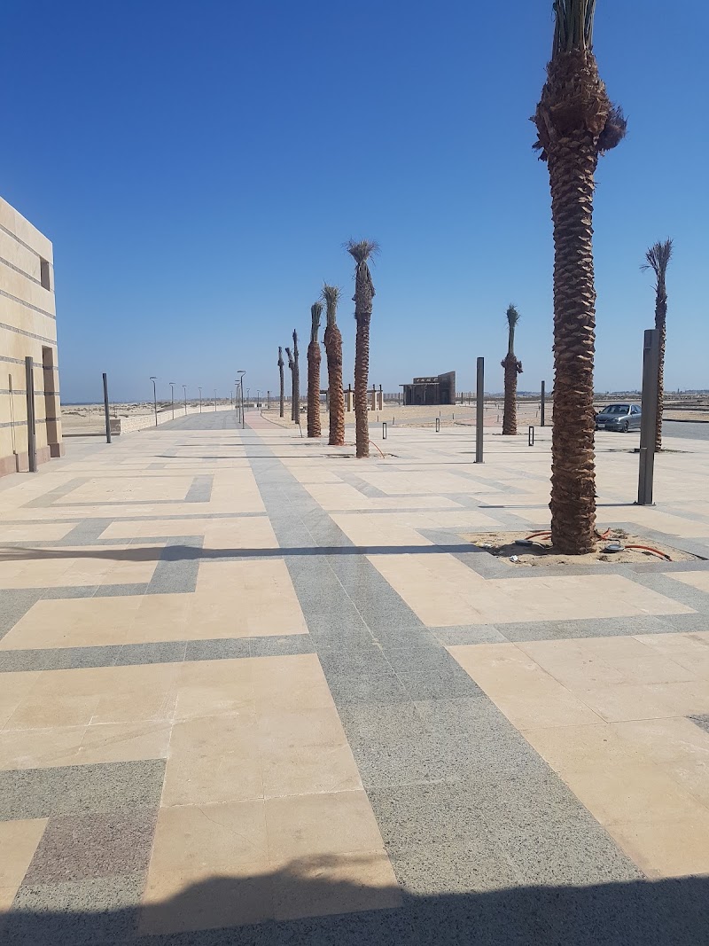 كرياتيفا المنصورة - صورة 1