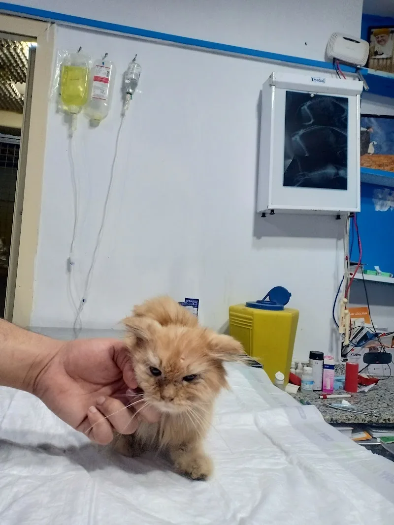 Cats & Dogs Vet Center - Photo 1