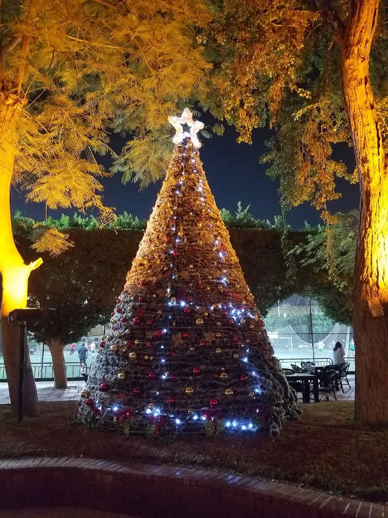 GSC Premium Gym - صورة 3