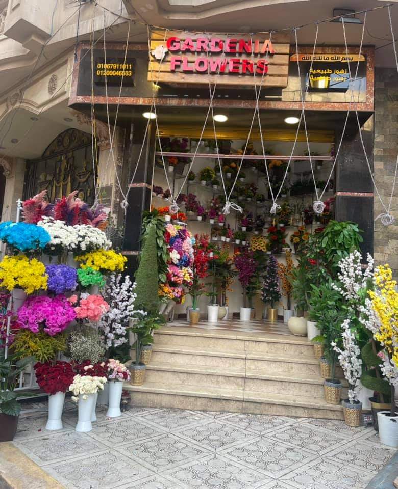 Gardania Flowers |محل ورد جاردينيا