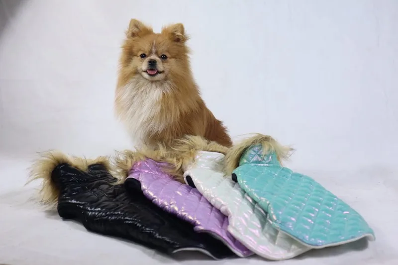 Pets&Pets - Photo 1