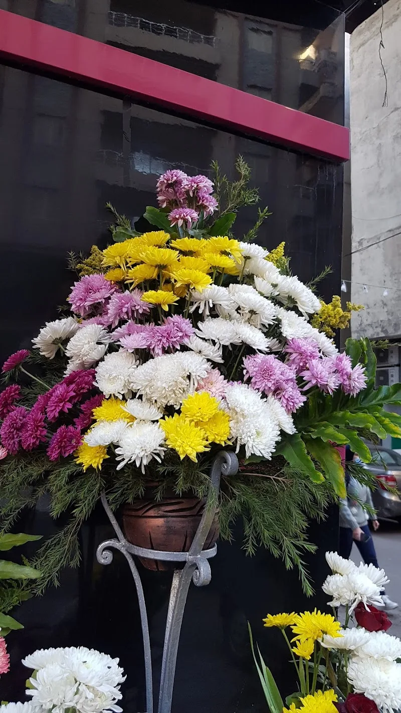 زهور بانسيه - Photo 2