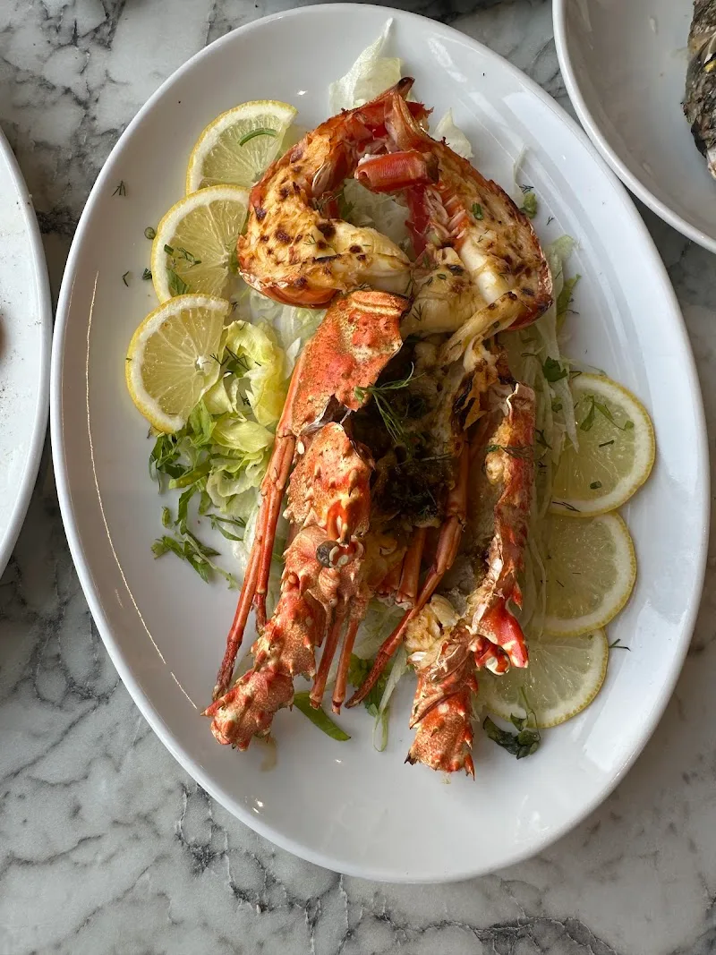 BRANZINO - صورة 3