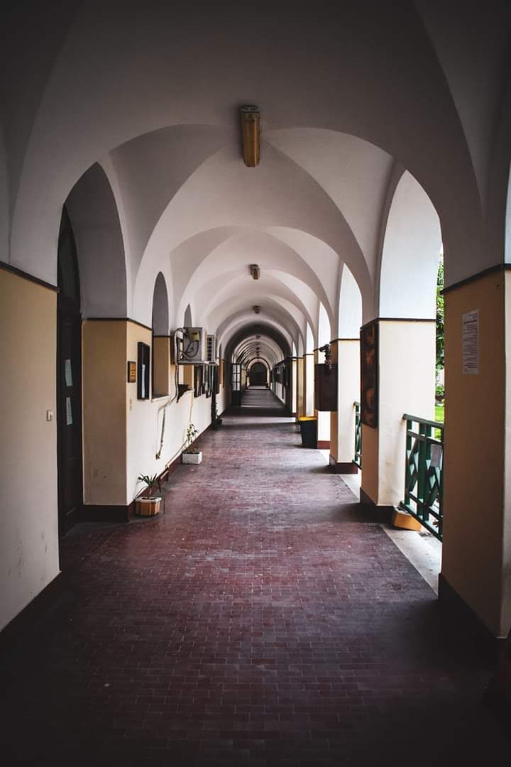 Faculty of Agriculture - Alexandria University - Photo 1