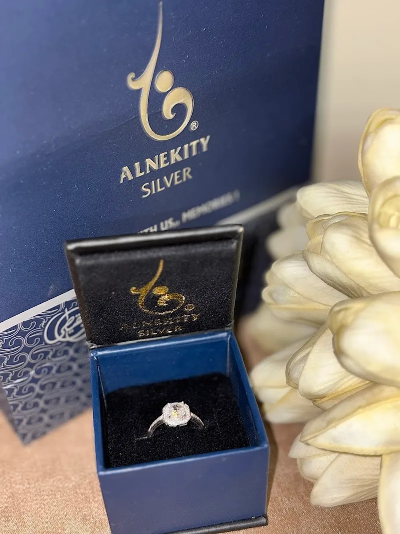 Alnekity Silver - صورة 1