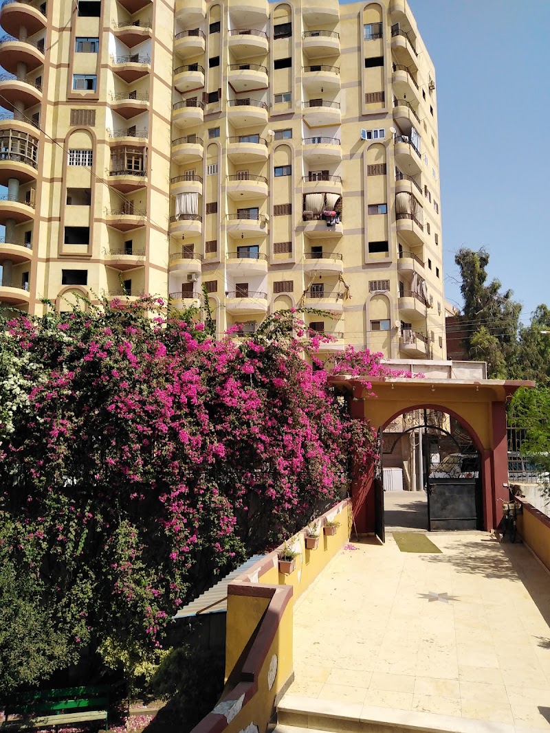 The Higher Institute For Languages In Mansoura