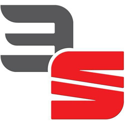 الشركة الهندسية المصرية لخدمات السيارات 3S