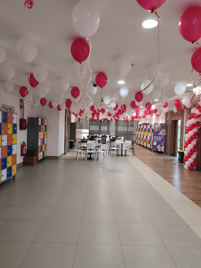 Balloon garland ( online store ) - صورة 1