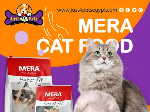 Just4Pets - صورة 3