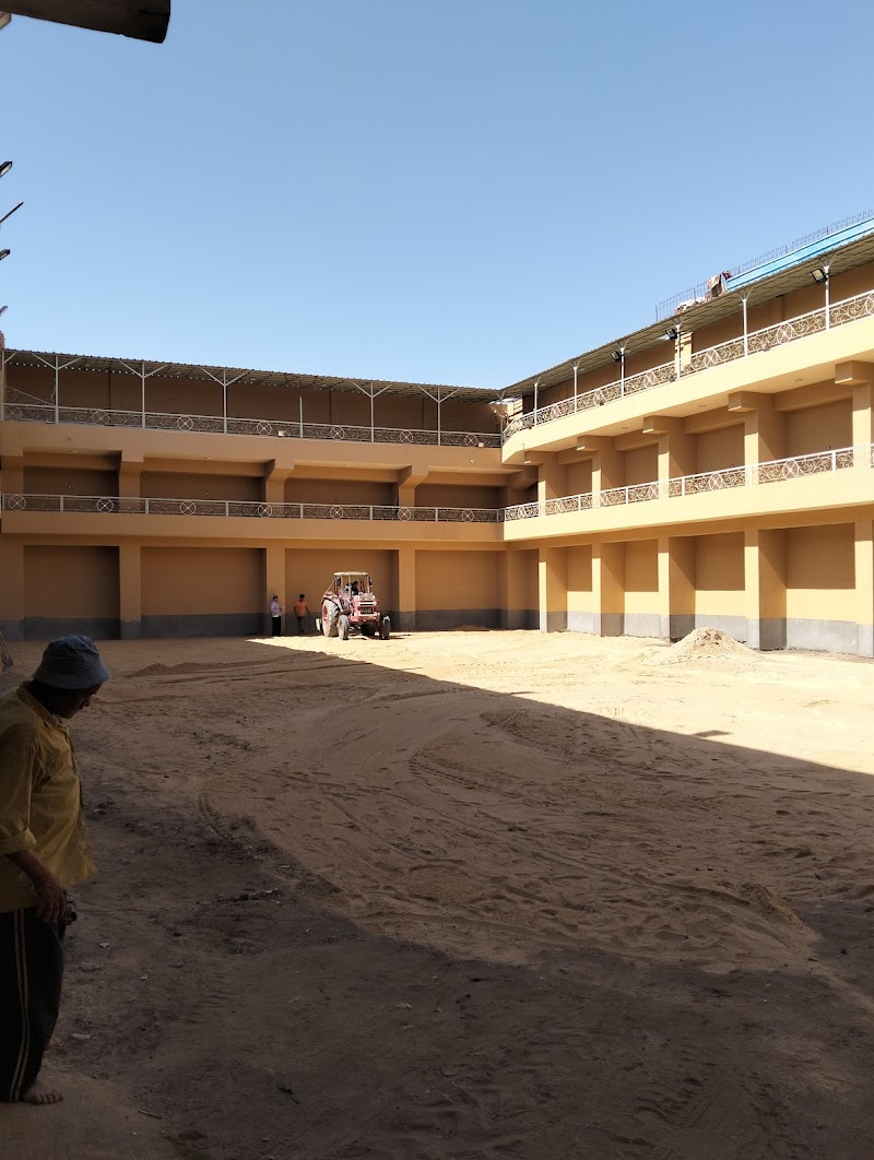 مشتل اللوتس للنباتات الزينة - صورة 1