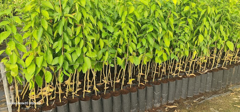 شركة بركات للتنميه الزراعيه - صورة 3