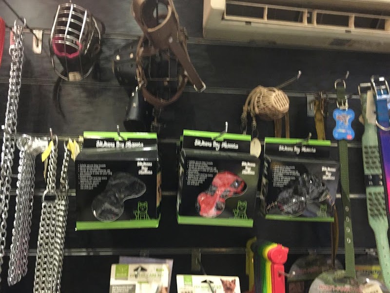 Animal House - صورة 2