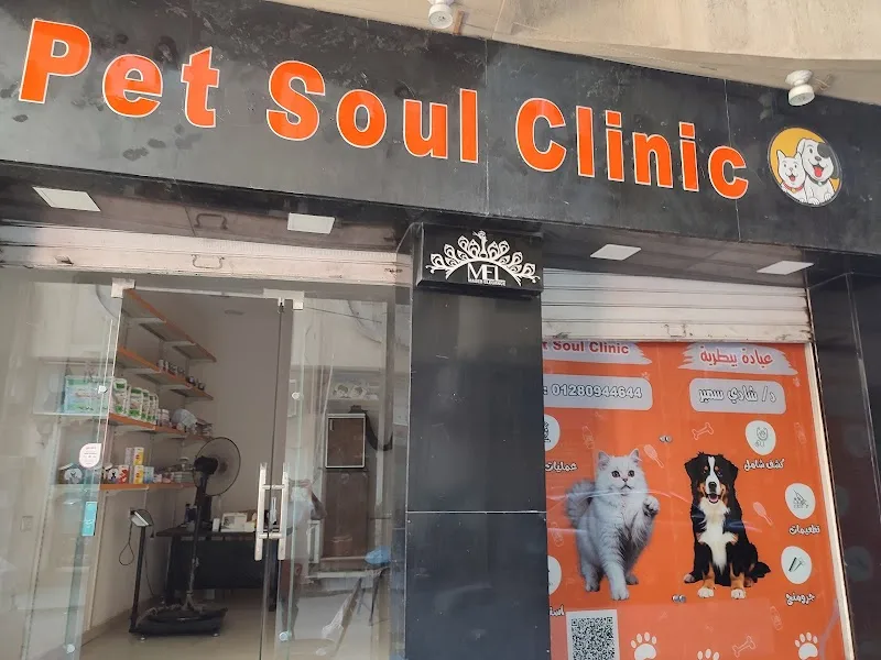 Pet Soul Clinic عيادة بيطرية طوارئ 24 ساعة في الأسكندرية مصطفى كامل كفر عبده - صورة 2