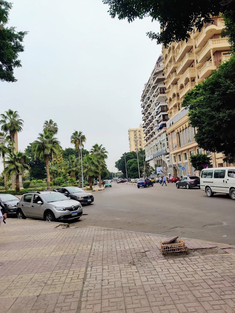 جامعة الإسكندرية - صورة 3