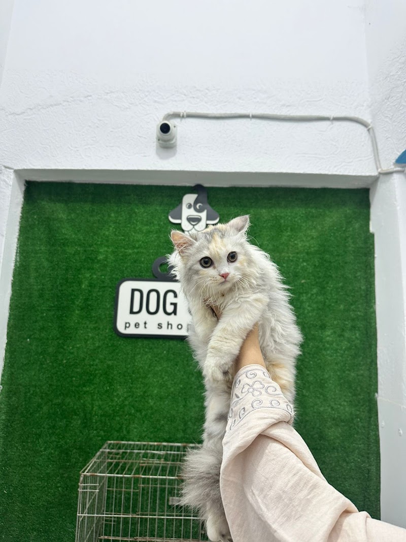 {Dog&Cat} عياده للحيوانات الاليفه وجمع مستلزمات الحيوانات - Photo 1