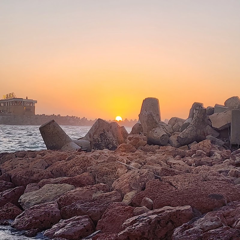 Tivoli Dome, Alexandria - Photo 2