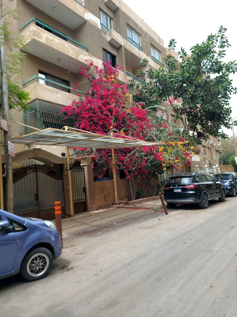 Cairo Pets Clinic عيادة بيطرية المقطم - Photo 2