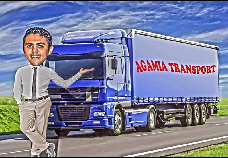 Agamia For Shipping - Photo 3