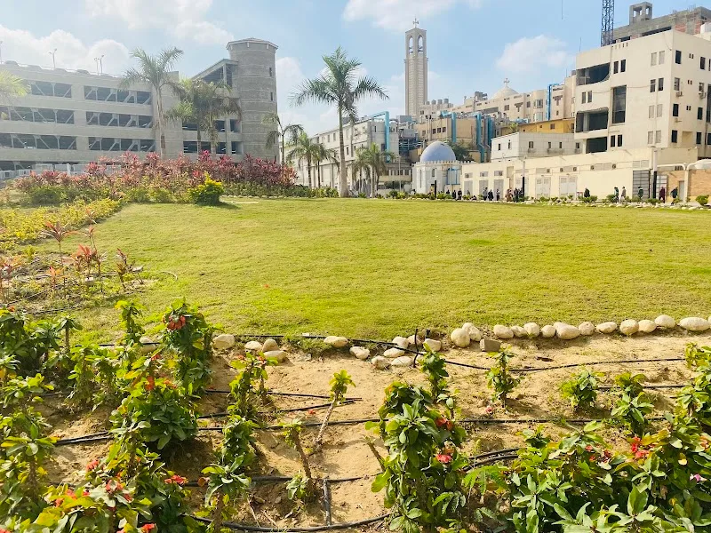 EMP (Extended Modular Program) Faculty of Medicine, Ain Shams University - Photo 1